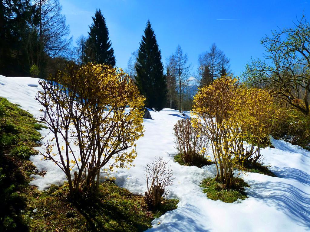 Romantikhotel Die Gersberg Alm Salzburg Exterior foto